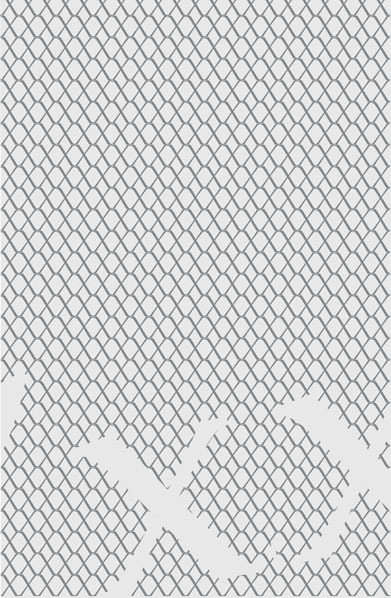 Viele Zeilen aus grauen Xen auf hellgrauem Hintergrund. Das Muster, ein Grenzzaun, wird durchbrochen von einem silbende 'xx.
